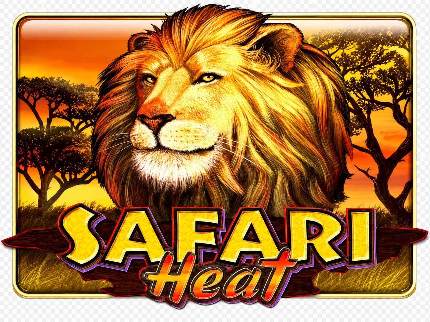 Safari Heat
